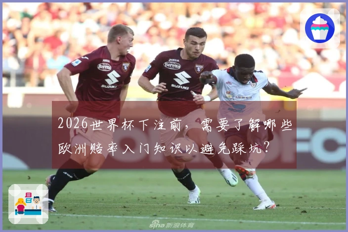 2026世界杯下注前，需要了解哪些欧洲赔率入门知识以避免踩坑？