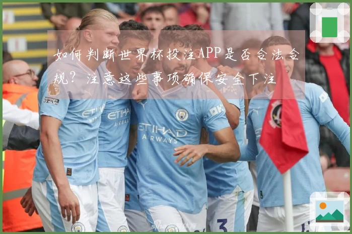如何判断世界杯投注APP是否合法合规？注意这些事项确保安全下注