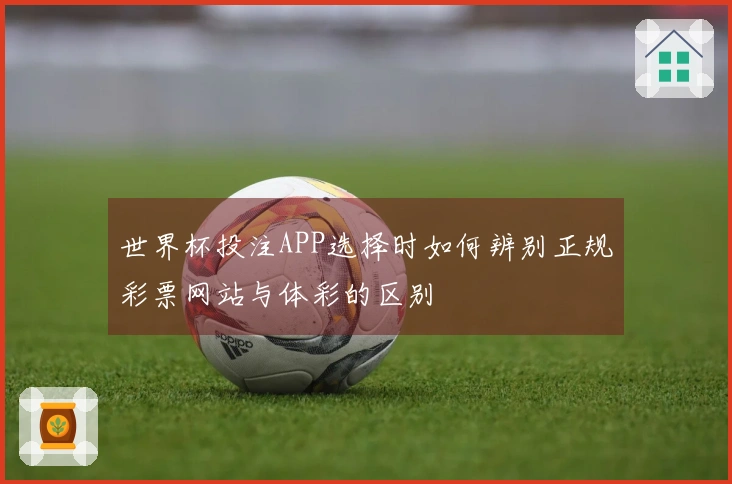 世界杯投注APP选择时如何辨别正规彩票网站与体彩的区别