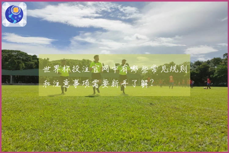 世界杯投注官网中有哪些常见规则和注意事项需要新手了解？