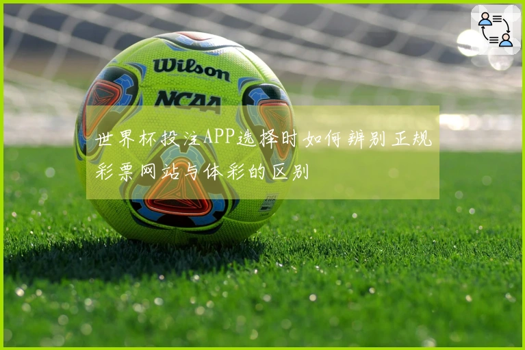 世界杯投注APP选择时如何辨别正规彩票网站与体彩的区别