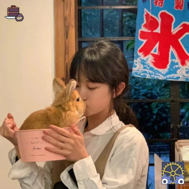 贺强先生